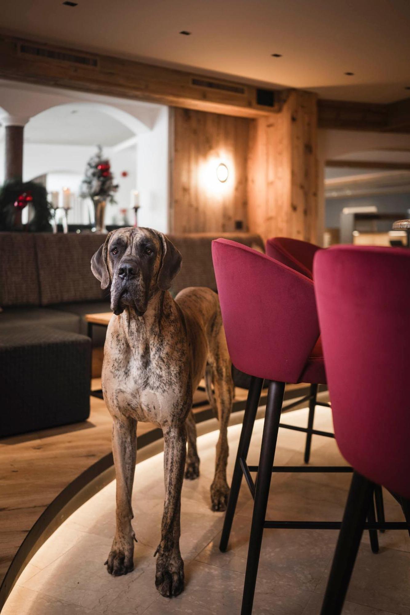 Alpenheim Charming & Hotel Ortisei
